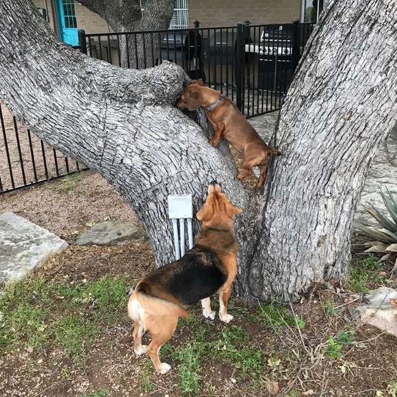 💰DON’T DELAY! ACT NOW! MAKE ME A REASONABLE OFFER - Picture 7 of 8